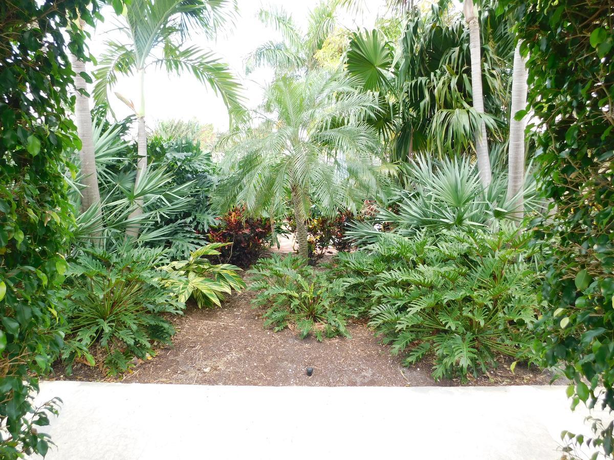 דלריי ביץ' The Grove Beach Condominiums מראה חיצוני תמונה